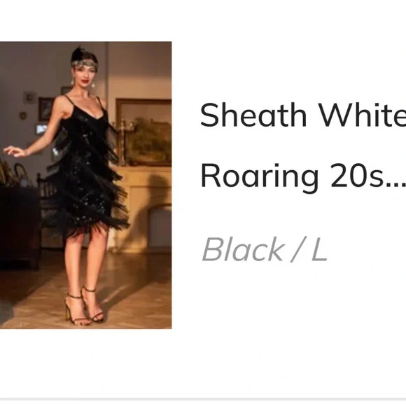 Roaring 20’s Flapper Black Sequin Fringe Dress with Accessories - Picture 3 of 3